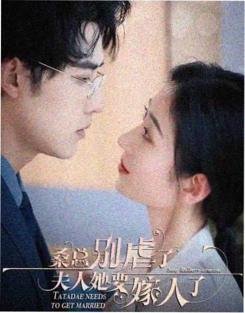 完结作品归档图鉴封面